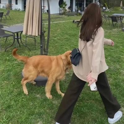 大三儿