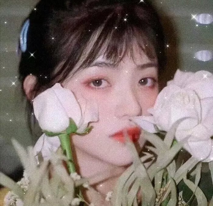 但愿人长久
